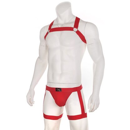 Hombre Leg Strap Bondage - Image 2