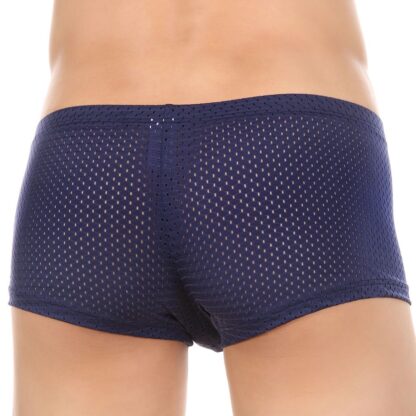 Breathable Mesh Underpants for Men - Image 2