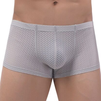 Breathable Mesh Underpants for Men - Image 3