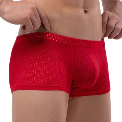 Breathable Mesh Underpants for Men - Image 4