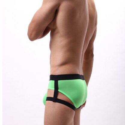 Harness Panties - Image 9