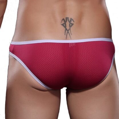 Buckle Up Mesh Panties - Image 2