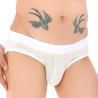 Mesh Comfy Panties - Image 3