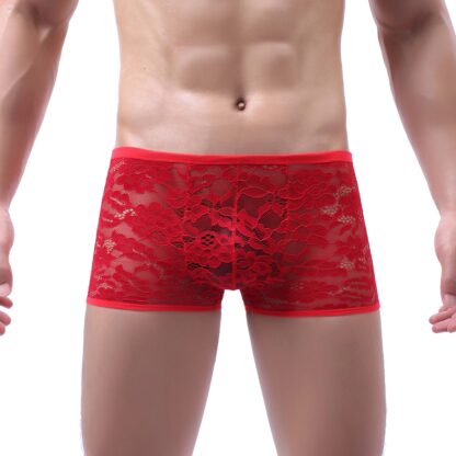 See-Through Lace Boxers - Image 4