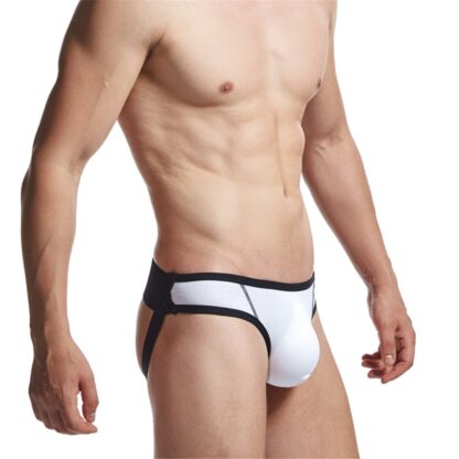 Gay Jockstraps - Image 3