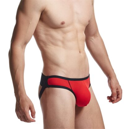 Gay Jockstraps - Image 5