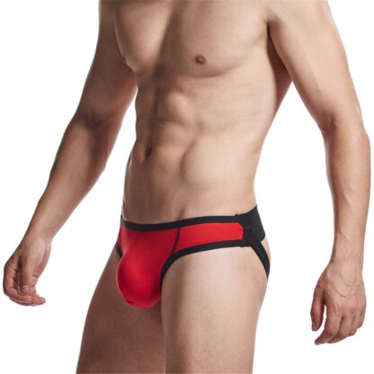 Gay Jockstraps - Image 6
