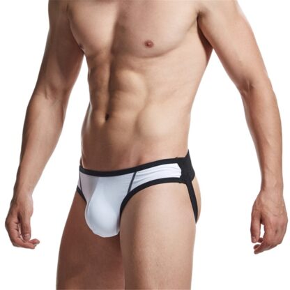 Gay Jockstraps - Image 2