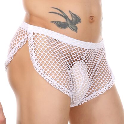 Sheer Boxer Briefs - Image 6
