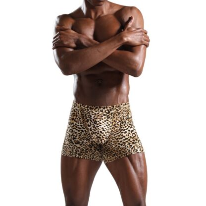 Long Leg Leopard Print Boxers - Image 4