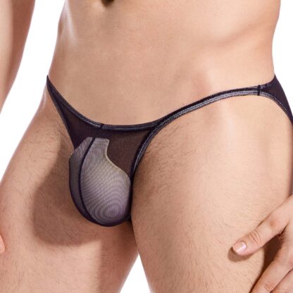 Seductive Tiny See-through Panties - Image 2