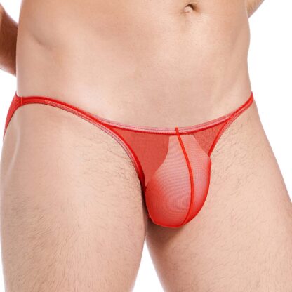 Seductive Tiny See-through Panties - Image 4