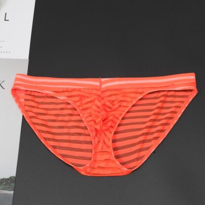 Horizontal Striped Mesh Briefs - Image 4